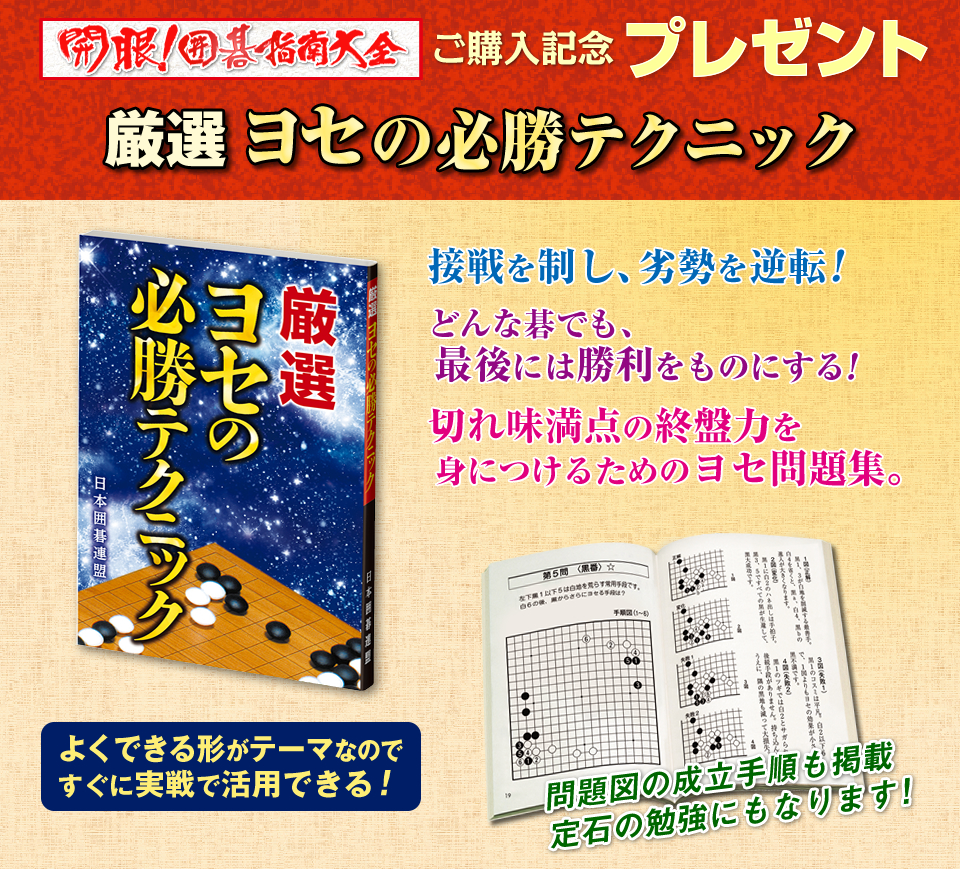 囲碁関連商品販売 日本囲碁連盟 | 囲碁書籍「開眼！囲碁指南大全」