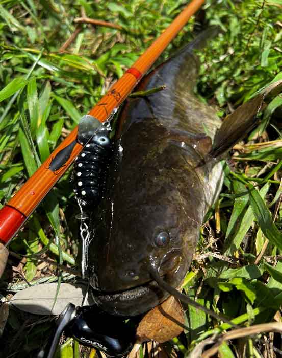 SMITHフィールドレポート