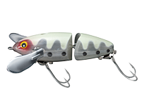 製品情報 ナマズ