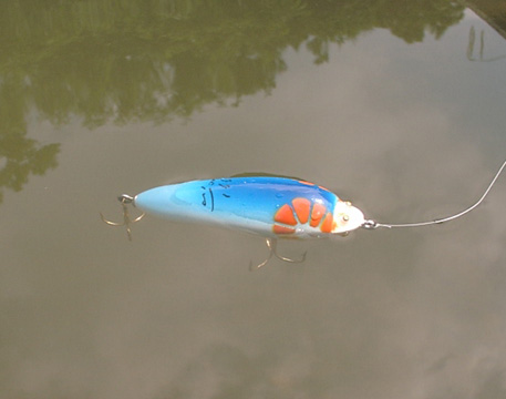 トップウォーター研究室