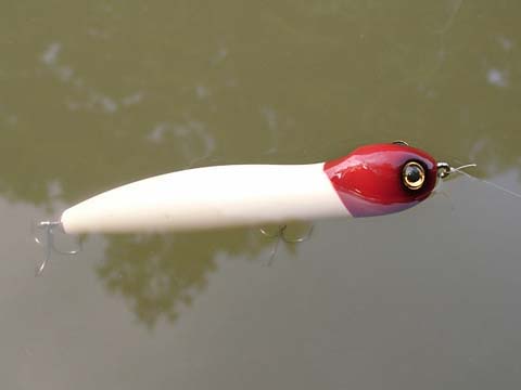 トップウォーター研究室