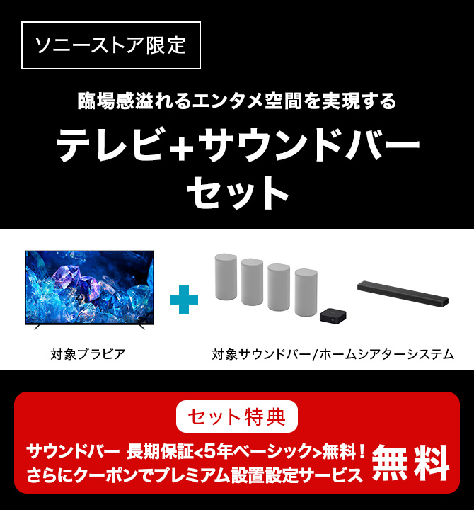 ソニーストア限定 臨場感あふれるエンタメ空間を実現するテレビ＋