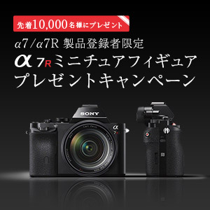 製品登録者限定 α7Sロゴ入り特製LEDペンライト α7Sミニチュア