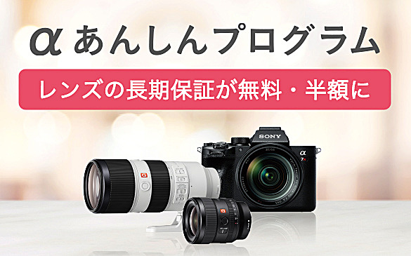 E 50mm F1.8 OSS | デジタル一眼カメラα（アルファ） | ソニー