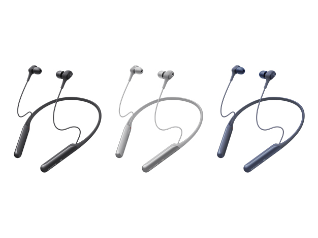 WI-C600N | ヘッドホン | ソニー