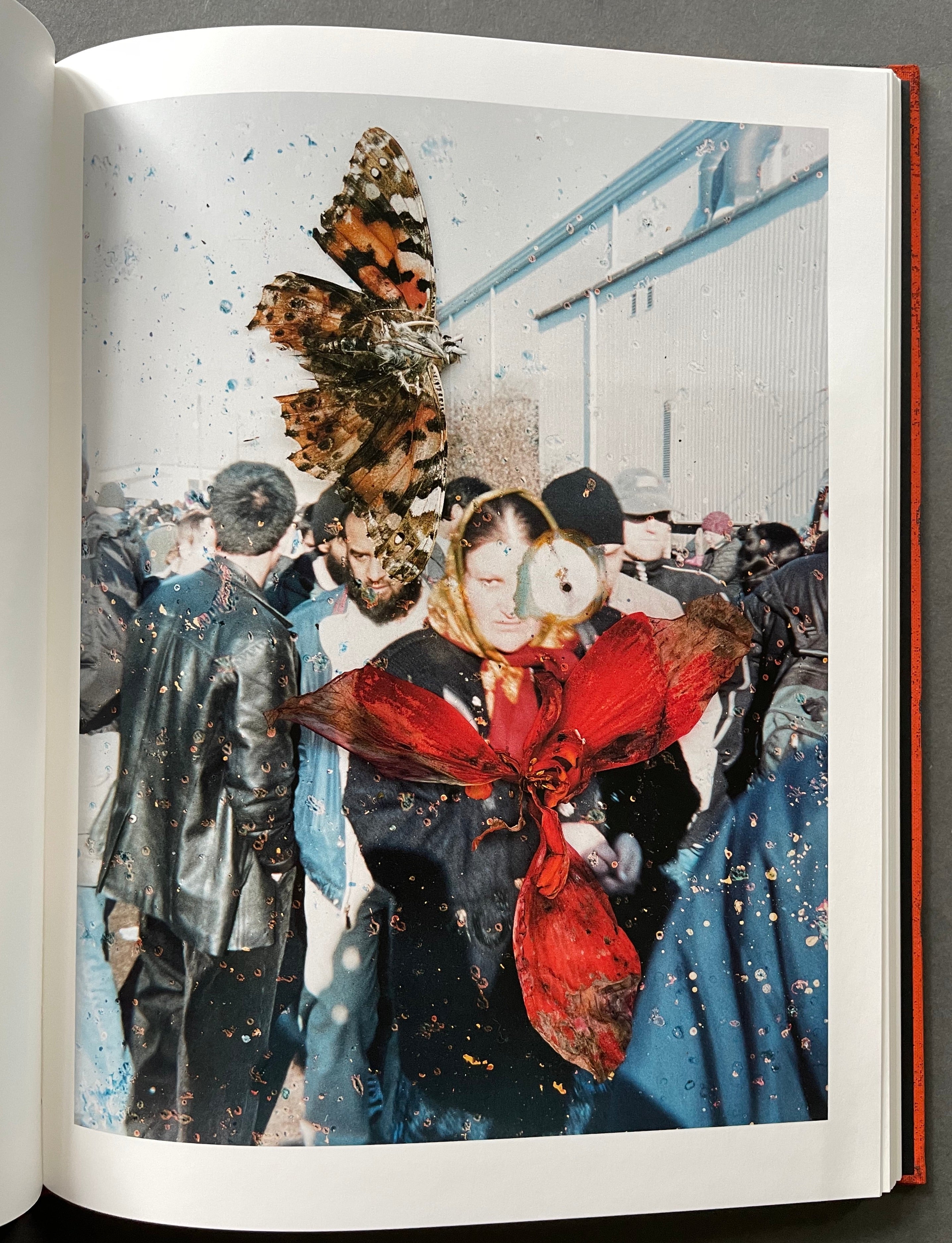 Buy Hackney Flowers by Stephen Gill Online – Setanta Books