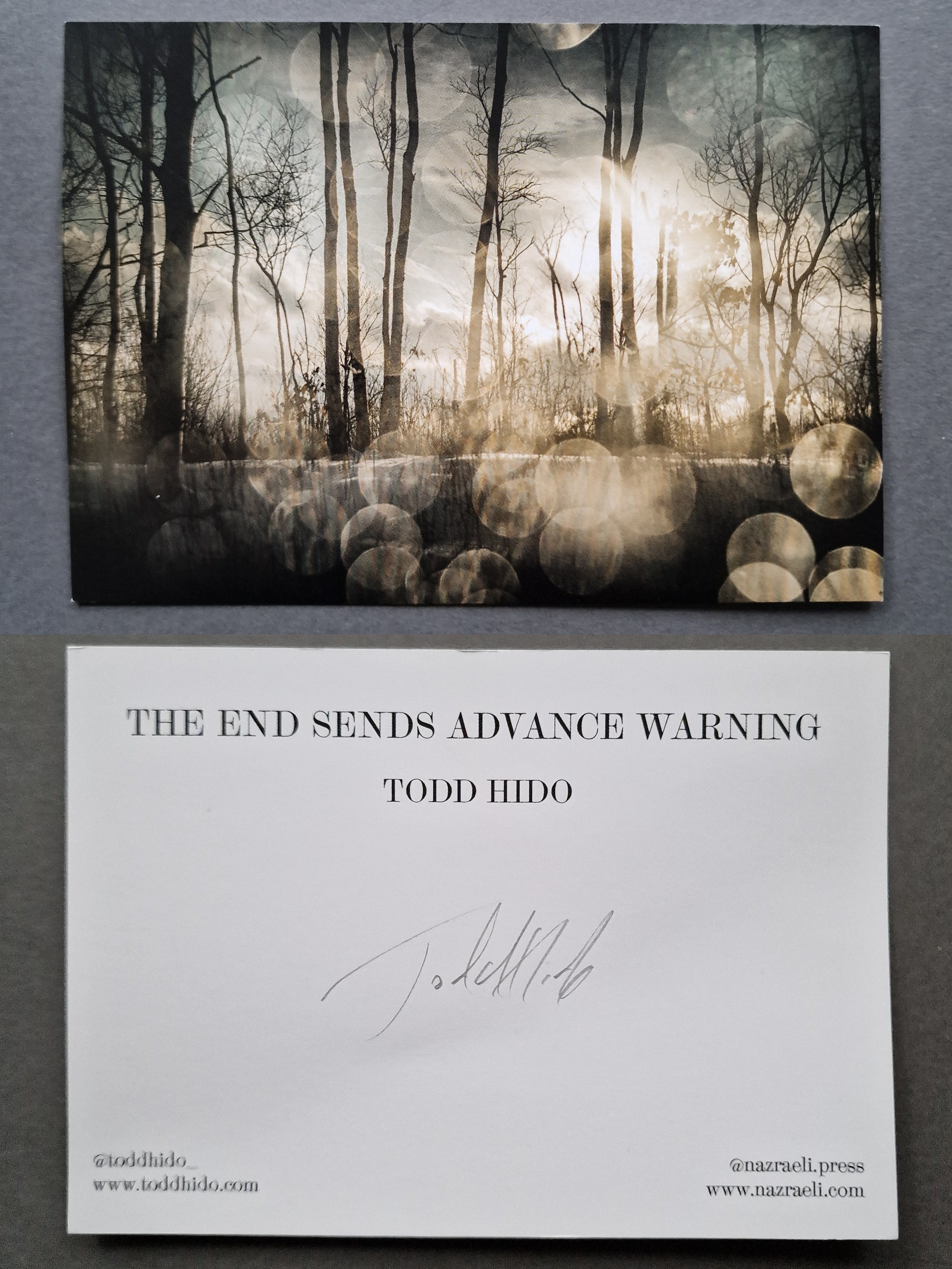 Buy The End Sends Advance Warning by Todd Hido Online – Setanta Books