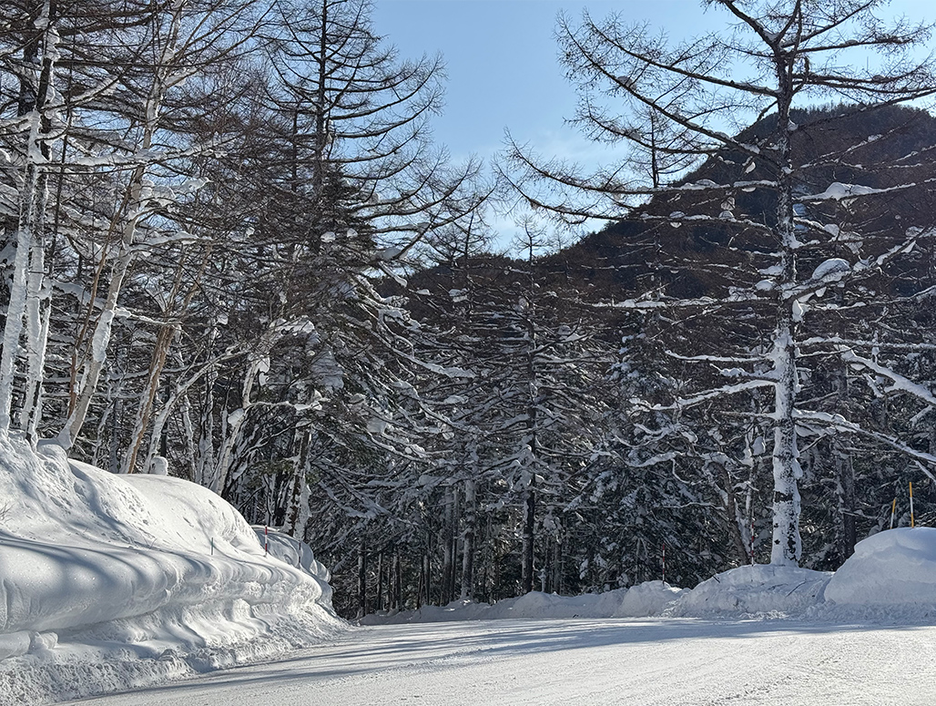 浅間白根火山ルート（鬼押・万座ハイウェー） ｜西武ロケーション