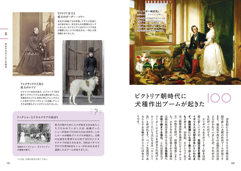 教養としての犬 思わず人に話したくなる犬知識130｜西東社｜『人生
