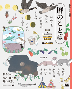 神々の指紋(上)（Graham Hancock 大地 舜 大地 舜）｜翔泳社の本