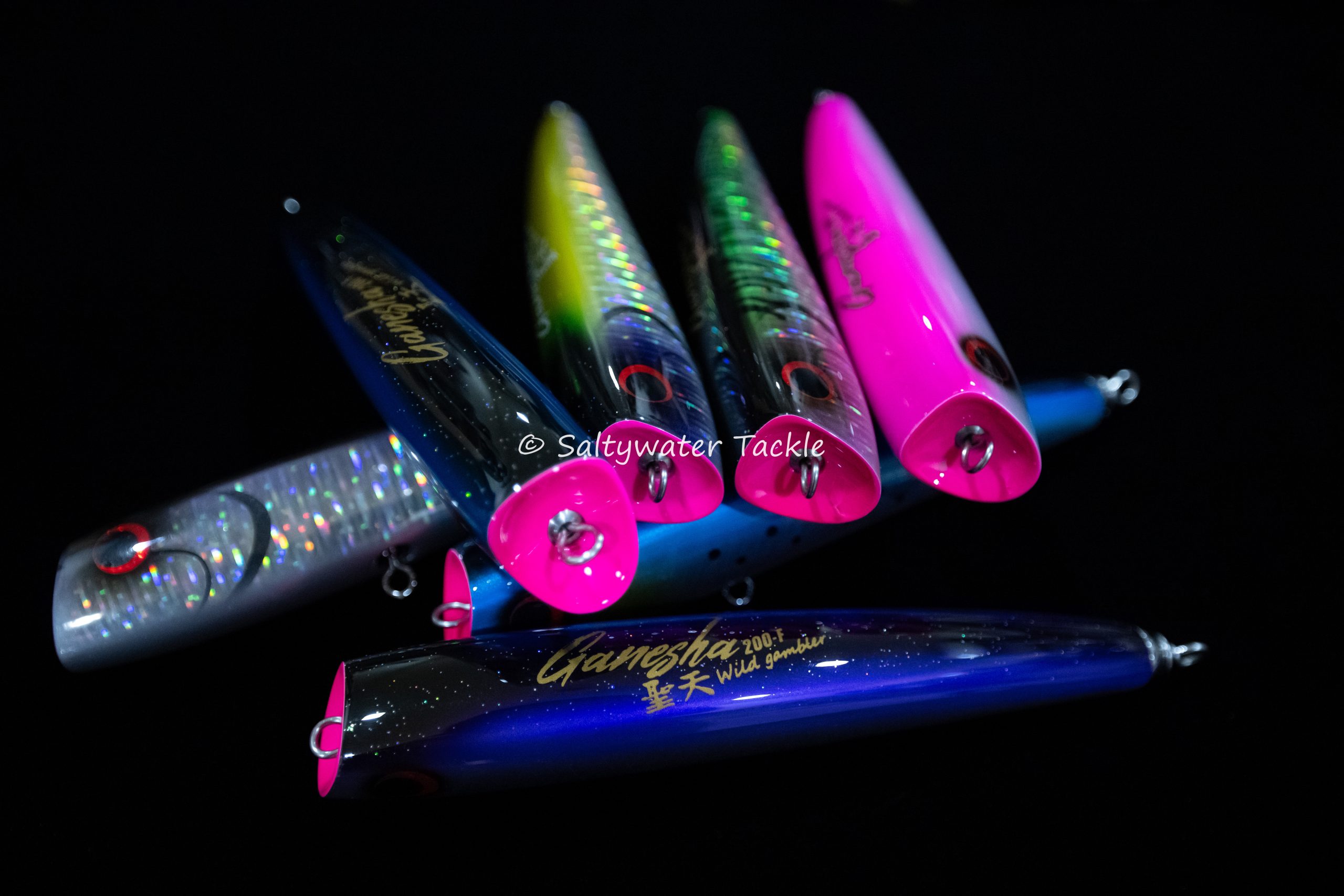 Wild Gambler Ganesha 200F - Saltywater Tackle Inc.