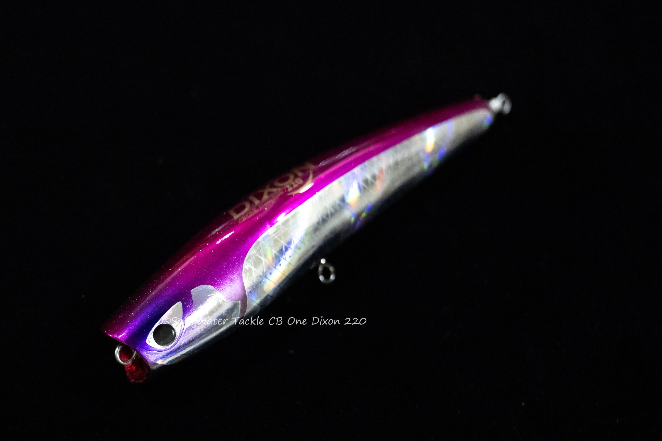 CB One Dixon 220 - Saltywater Tackle Inc.
