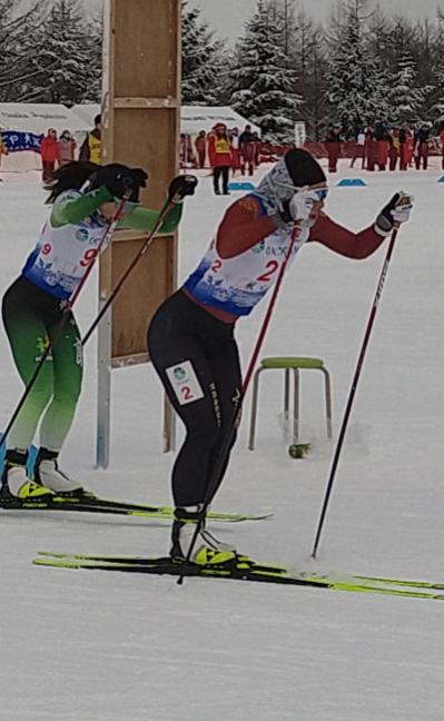 秋田県スキー連盟 | 競技本部 国体特集