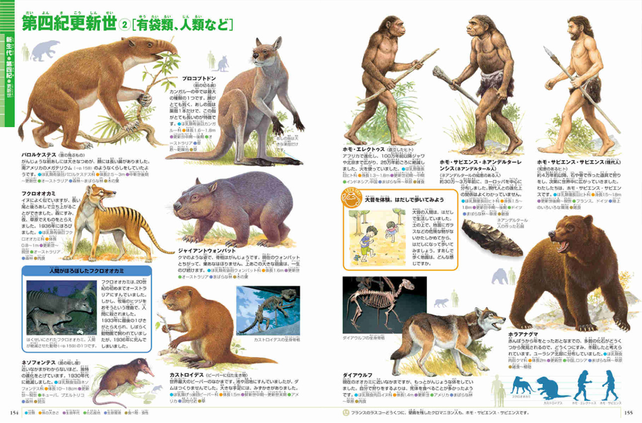大むかしの生物 | 小学館の図鑑NEOシリーズ | 小学館