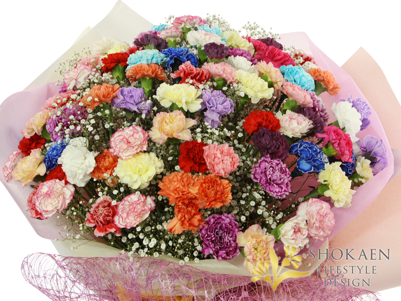 花束0148】カーネーションの大花束（Mix） - 株式会社正花園