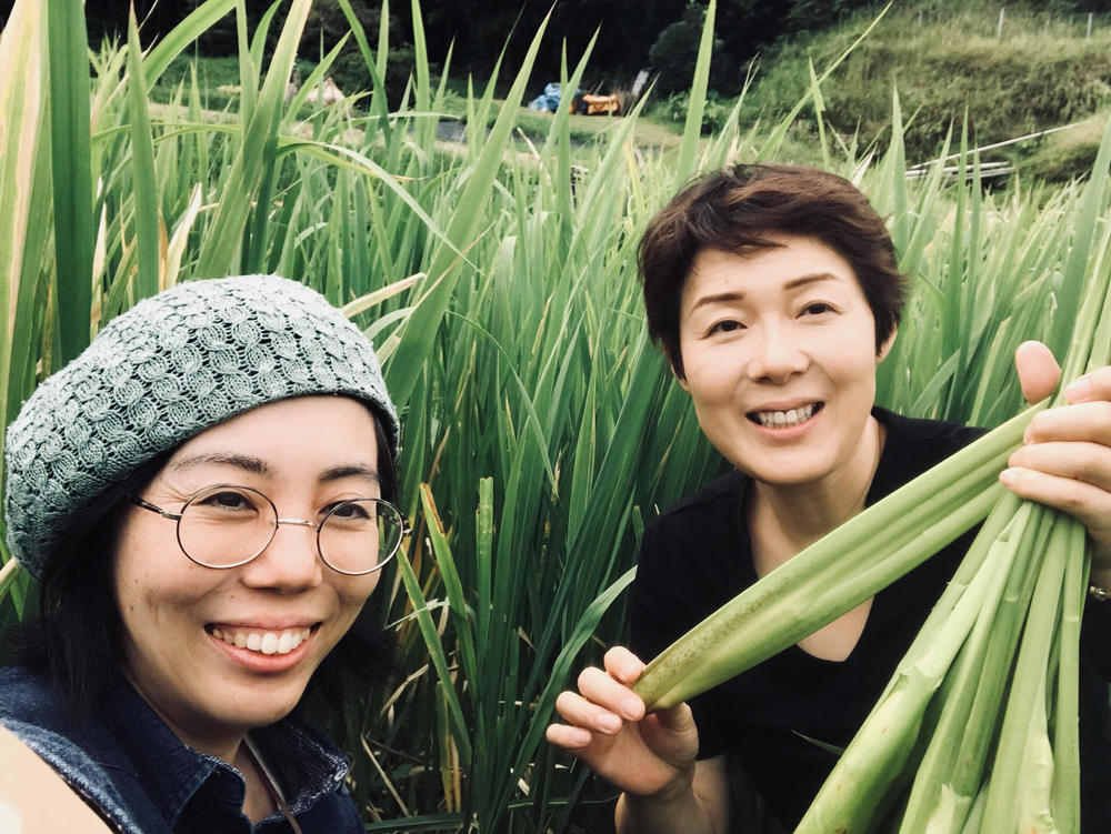 黒穂菌？謎の菌菜「マコモダケ」にせまる！収穫にチャレンジ！ | 食