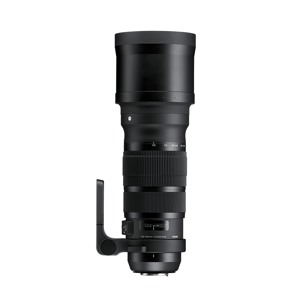 120-300mm F2.8 DG OS HSM | LENSES | Sigma