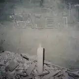 SALEMのレコード商品一覧：アナログレコード専門通販のSTEREO RECORDS