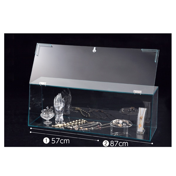 希少鍵付き/フロッピーディスクケース TH-100L/5インチストレージ