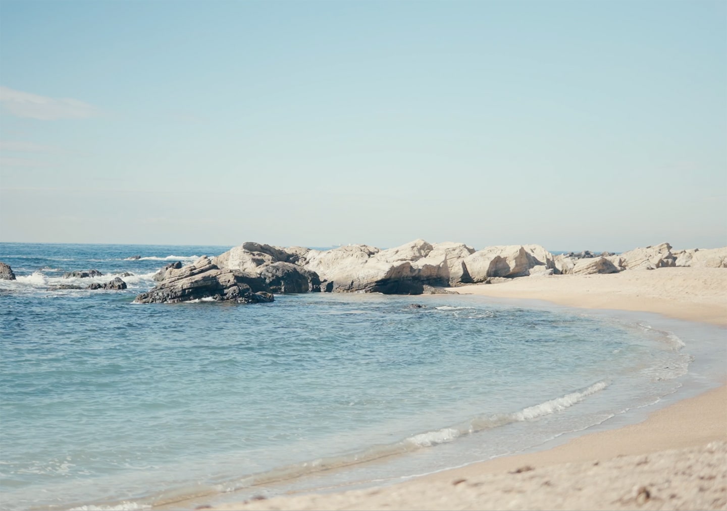 SUKALA 2024 SPRING&SUMMER: LAVA公式オンラインストアLapre｜LAVA公式