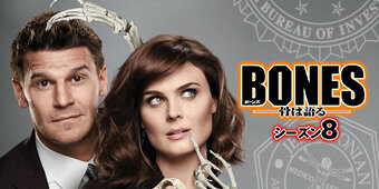 スーパー！ドラマTV 海外ドラマ：ダンディ2 華麗な冒険