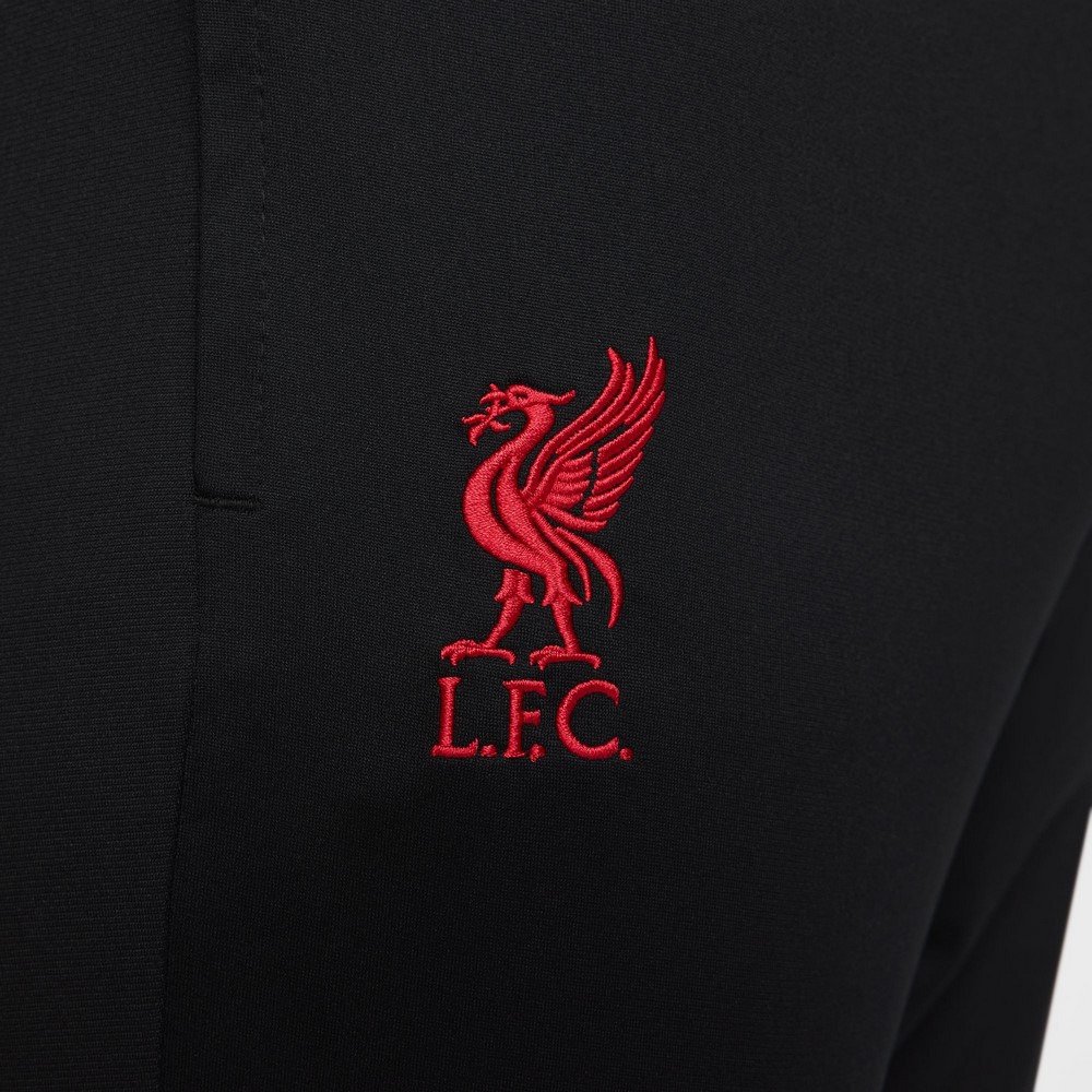 ナイキ（NIKE）（メンズ）リバプールFC ストライク スペシャル