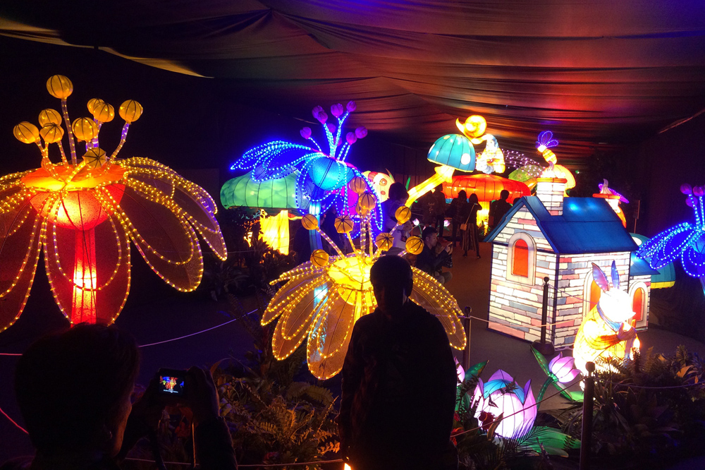 ランタン ファンタジア