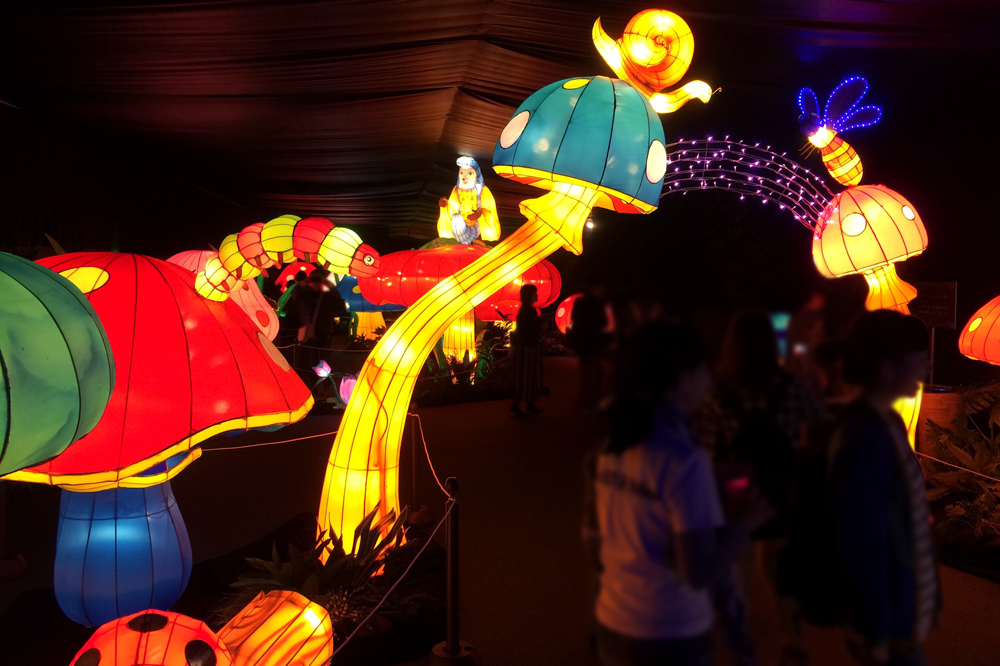 ランタン ファンタジア