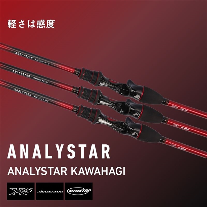 ダイワ アナリスター カワハギ M-175・K 24年モデル - 釣具のポイント