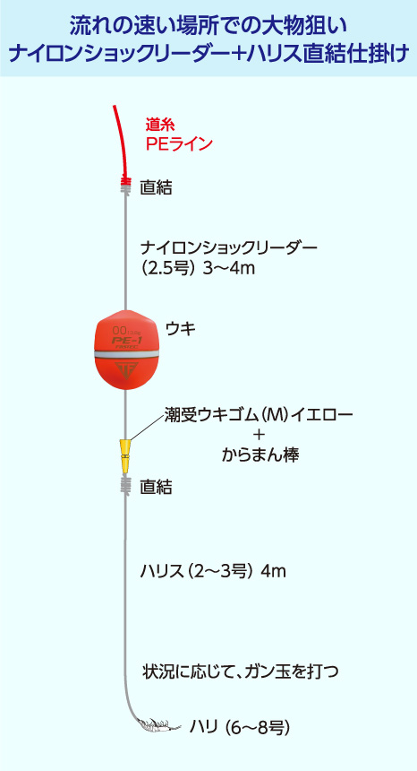 現代の最強釣法！？フカセPE釣法 ｜釣具のポイント【公式】オンライン