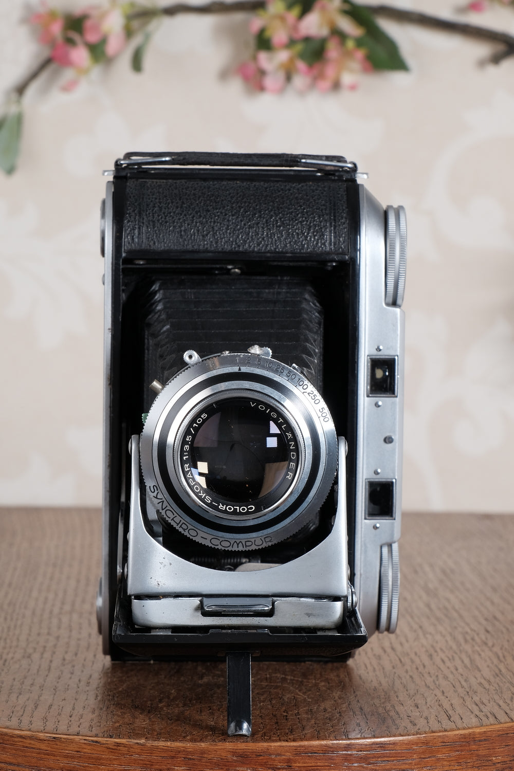 Superb! 1955 Voigtlander 6x9 Bessa II with Color-Skopar lens