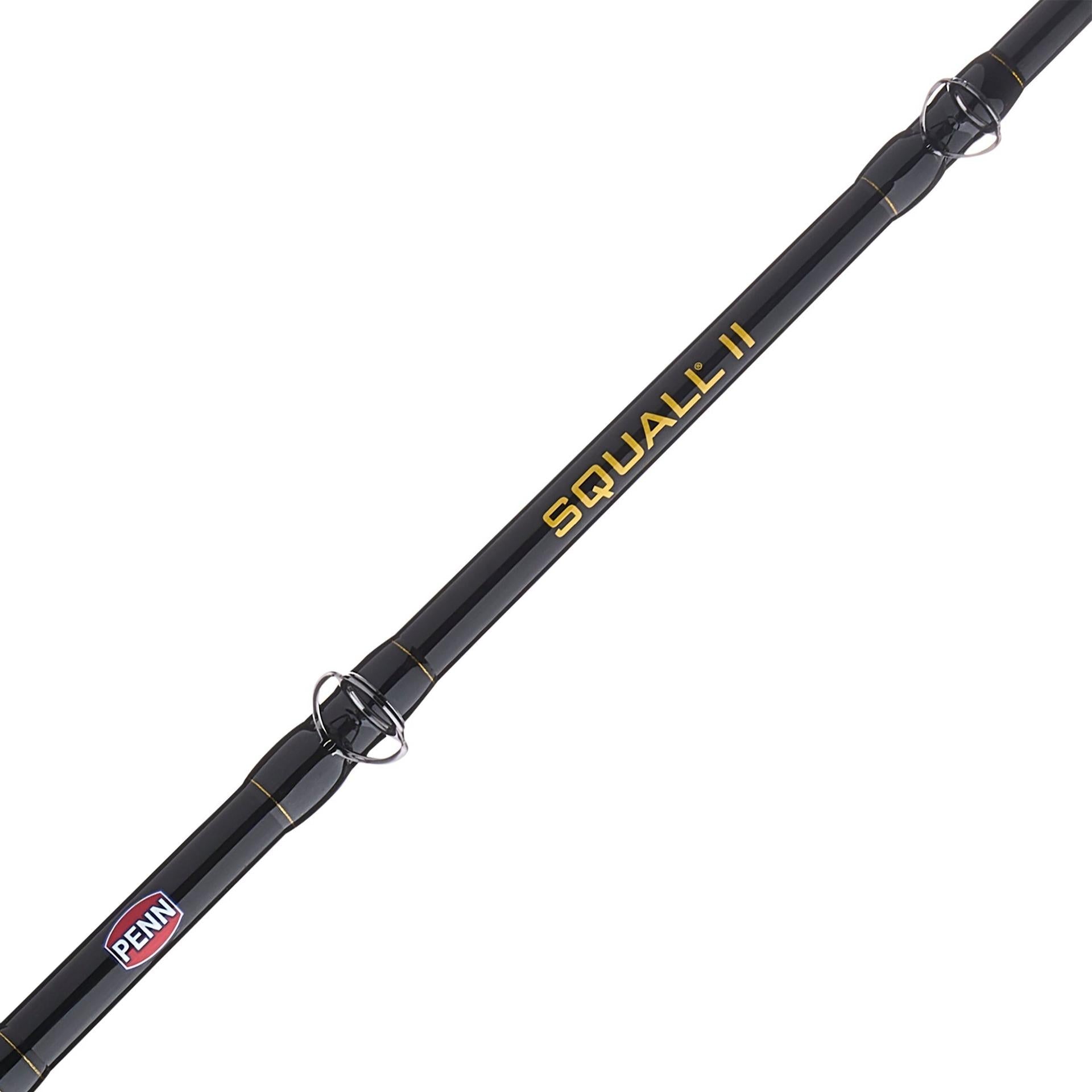 PENN Squall® II Lever Drag Conventional Rod & Reel Combo | PENN