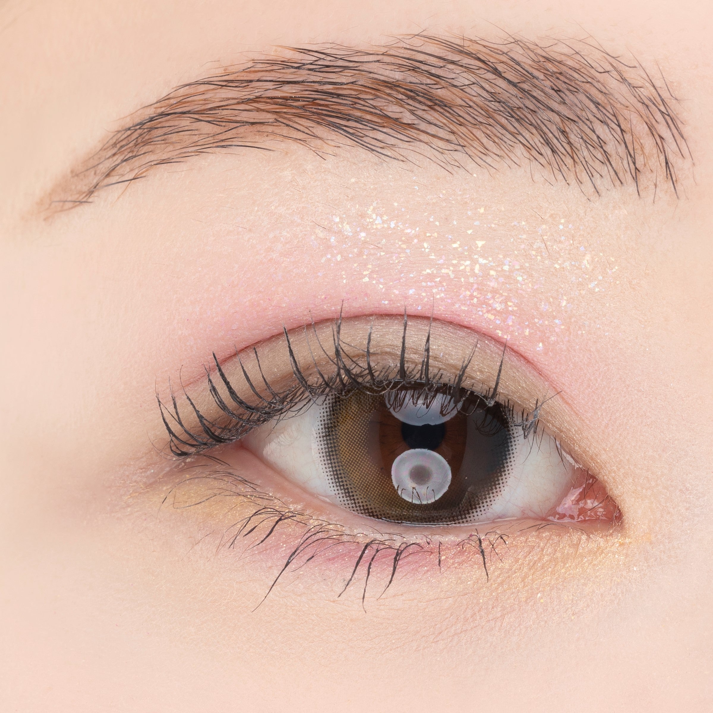 アイデザイン パレット 08 「マネージュ デテ」｜ポール ＆ ジョー公式