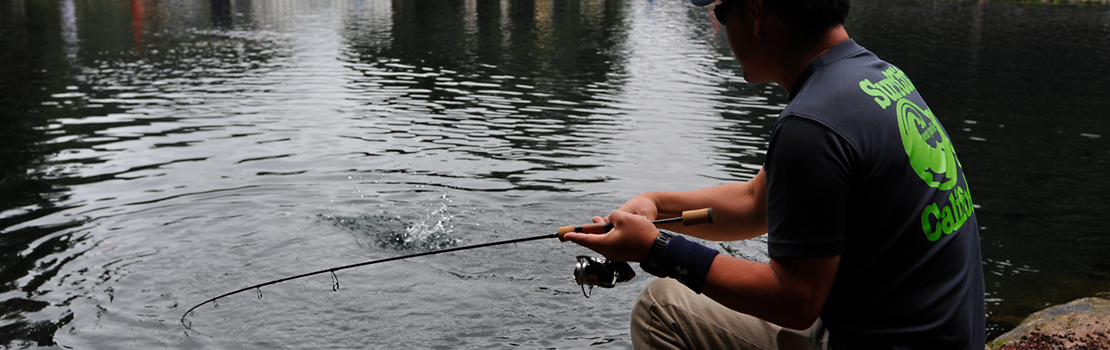 Egeria AREA PERFORMANCE / エゲリア エリアパフォーマンス ｜PALMS