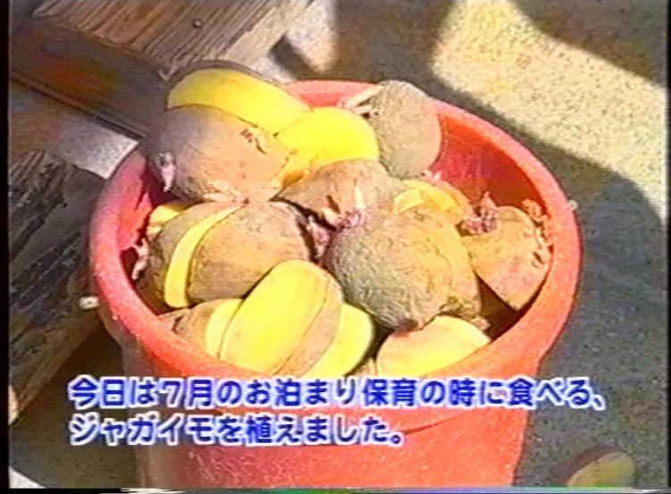 Hi8・8mmテープを自分でDVDにダビングする方法 | ビデオダビングのPAM