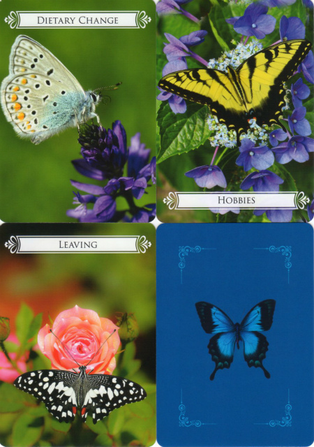 バタフライオラクルカード』（専用日本語解説書付き） 商品詳細