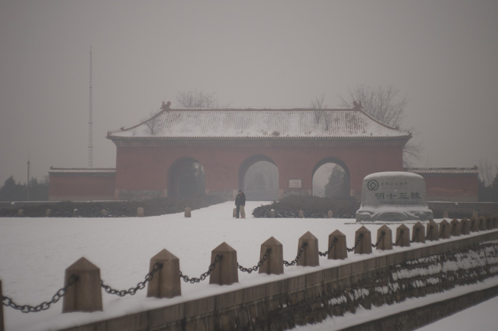 文化の磁力は交わって艶やかな色彩を生み出す4(シュタインハイル