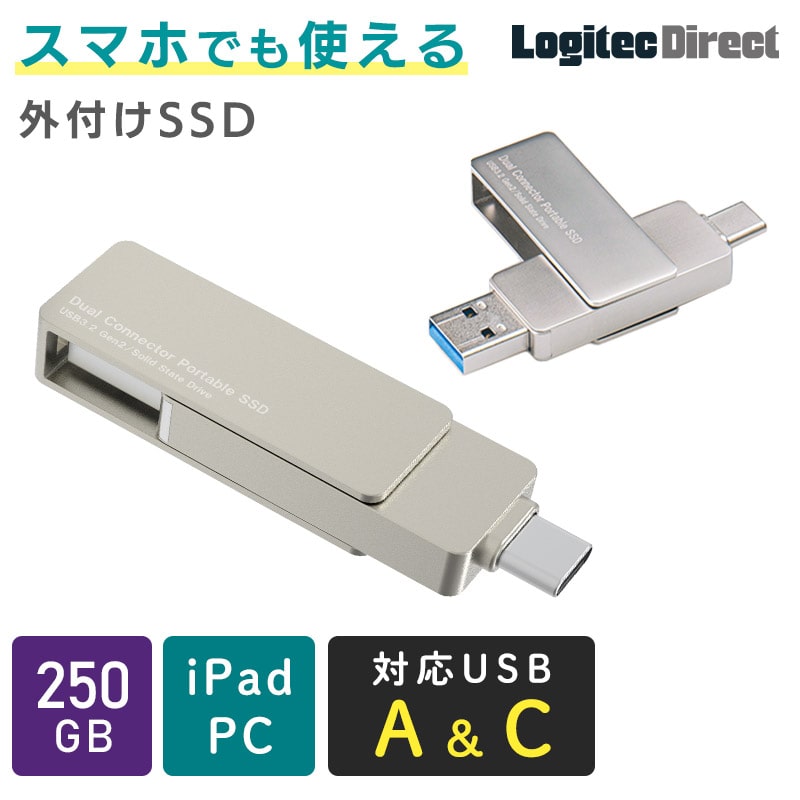 SSD 外付け 250GB USB Type-A / USB Type-C 両挿し スティック型