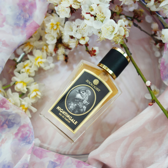 Nightingale / ナイチンゲール