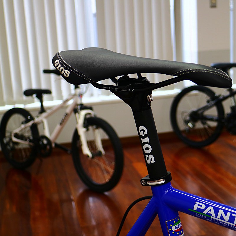 ミニベ ロード ドロップハンドル GIOS（ジオス） 2020年モデル PANTO