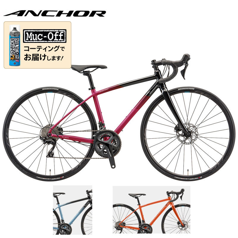 ANCHOR（アンカー）2022年モデル RL6DW FRAME SET （RL6DWフレーム