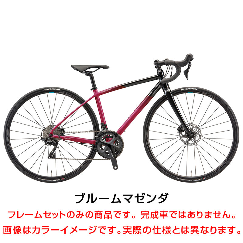 ANCHOR（アンカー）2022年モデル RL6DW FRAME SET （RL6DWフレーム