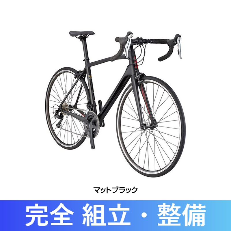 SCHWINN（シュウィン） 2017年モデル FASTBACK CARBON （ファスト