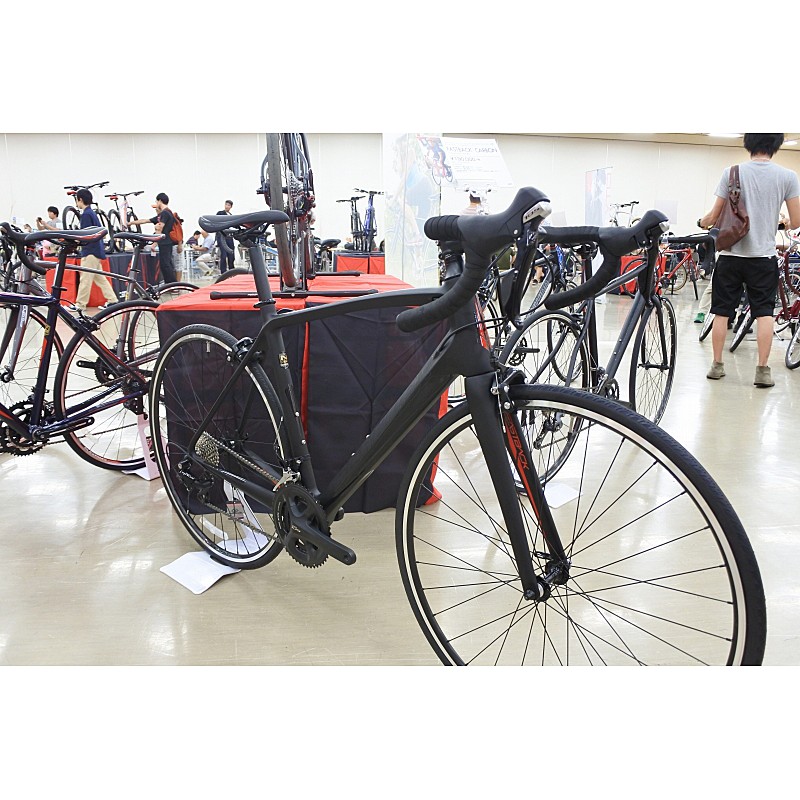 SCHWINN（シュウィン） 2017年モデル FASTBACK CARBON （ファスト