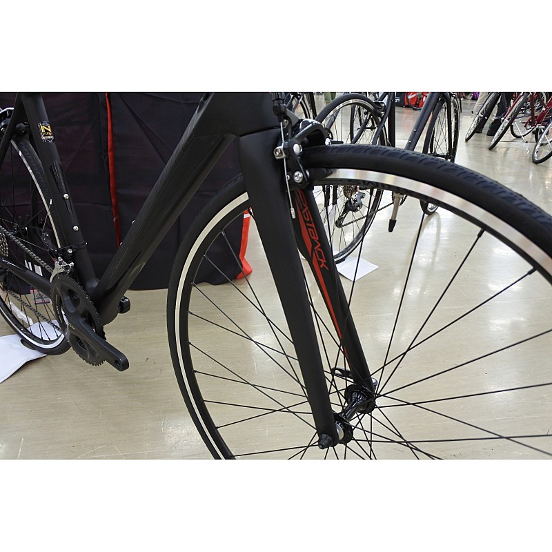 SCHWINN（シュウィン） 2017年モデル FASTBACK CARBON （ファスト