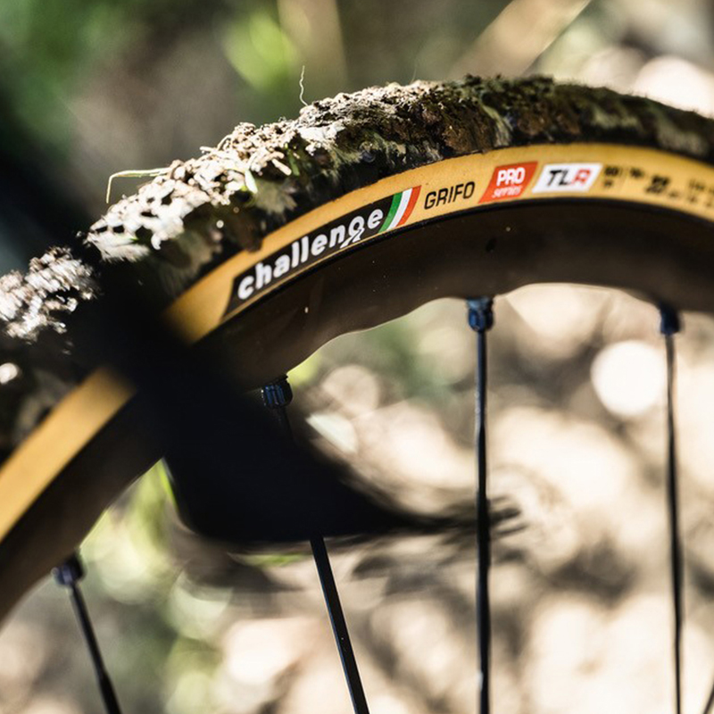 Challenge（チャレンジ）HTLR GRIFO チューブレスレディ 300TPI
