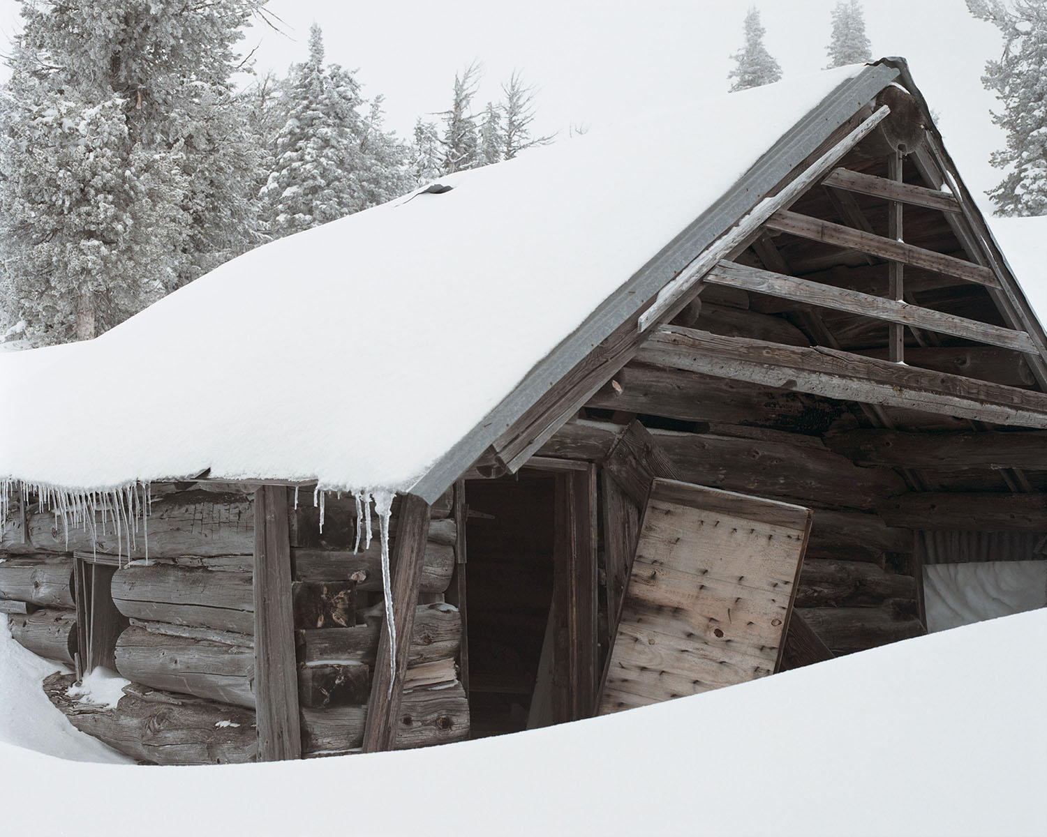 アート・デザイン・音楽 LICK CREEK LINE by Ron Jude アート
