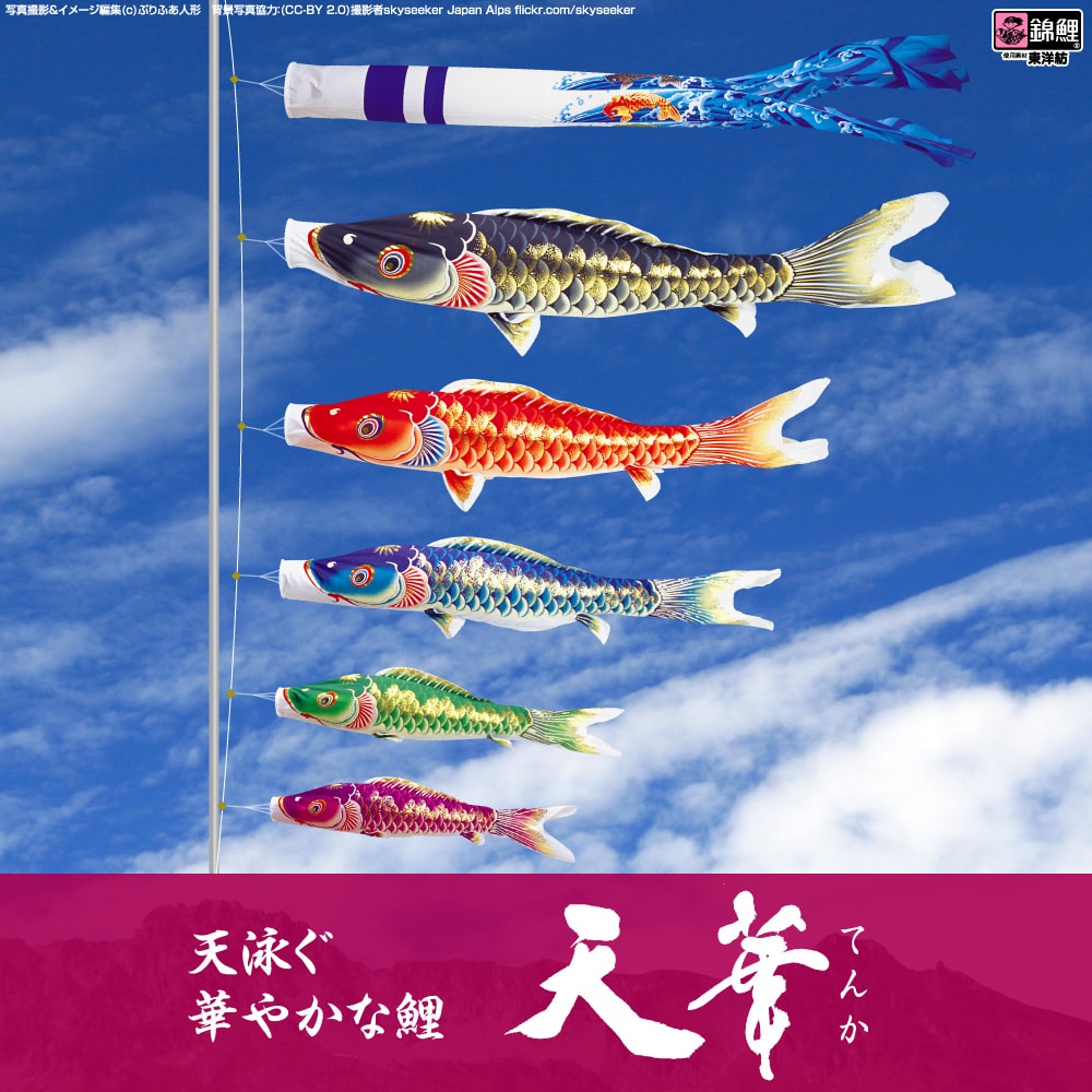 ワタナベ鯉のぼり 天華錦鯉 | prefer