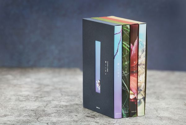 芝木好子小説集 新しい日々 / 通常版 | デザイン - 篠原紙工