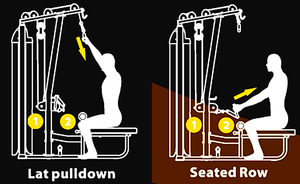ラットプルダウン/シーテッドロー | 背中の筋肉である広背筋や僧帽筋を